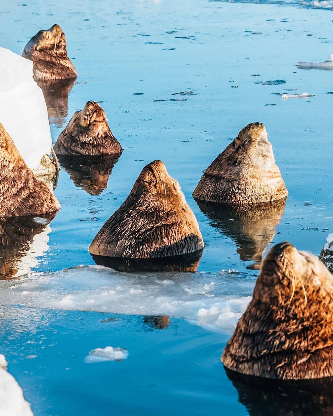 Kamchatka - Rusija - Bukva škola ruskog jezika online - 5 fenomenalnih razloga za posjetiti Daleki Istok Rusije